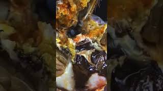 ep 37 do you eat this crab [upl. by Adnilim690]