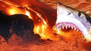 Sharks Discovered Living In A Volcano [upl. by Aihtnic]