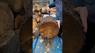 🌲Firewood processing operation🪵🪵🪵🪵🪵🪵🪵🪵🪵🪵🪵woodworking woodwork [upl. by Burris]