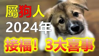 2024生肖運勢，十二生肖屬狗2024年三大喜事，分別是什麼喜事，2024年，屬狗的朋友衝太歲，運勢相比其他生肖低迷許多，十二生肖當中，許多屬相的命運會迎來全新的變化，屬狗雖然在2024年運勢不好 [upl. by Whang]