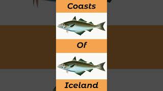 Where To Catch Pollock In The UK And Europe seafishinguk [upl. by Enar360]