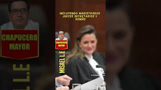 Nepotismo en el poder judicial [upl. by Inafets876]