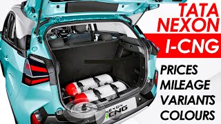 Tata Nexon CNG Mileage Prices Colours amp Engine Specs Explained  Is This The Best CNG Car [upl. by Ahtera]