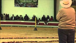 Gran Campeonato Caballos Trotones Galoperos Tunja 2013 [upl. by Awad]