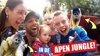 DEZE AAPJES WILLEN SELFIES MAKEN 🐵🤳🏼AFRIKA VLOG 6 ♥DeZoeteZusjes♥ [upl. by Llehsyar]