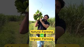 Natural Farming vs Organic Farming 💕 hellokisaan organicfarming hellokisaanfarm agriculture [upl. by Eelyma]