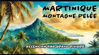 MARTINIQUE  Montagne Pelée ascension par Grand Rivière [upl. by Forrester743]