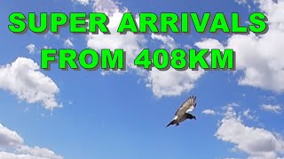 SUPER ARRIVALS FROM 408KM [upl. by Harifaz809]