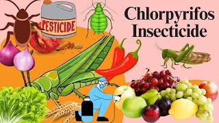 Chlorpyrifos Chemistry Mode of Action Formulation Uses and Dosage [upl. by Ahsenak651]