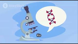 Agarose Gel Electrophoresis A StepbyStep Guide electrophoresis agarosegel EtBr xylenecyanol [upl. by Trbor]