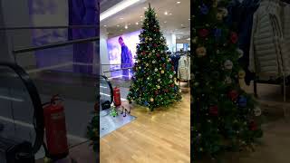 Christmas Tree 🎄 christmas alliwantforchristmasisyou merrychristmas music christmassongs [upl. by Inad]