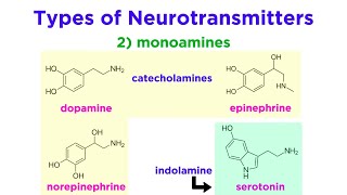 Neurotransmitters Type Structure and Function [upl. by Ahsilrac]