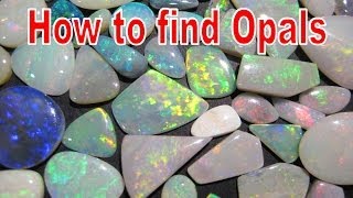 How to find Opals  Coober Pedy  Liz Kreate [upl. by Yerot]