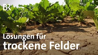 Trockene Felder und Wassermangel So verändert der Klimawandel die Landwirtschaft  Unkraut  BR [upl. by Kamat]