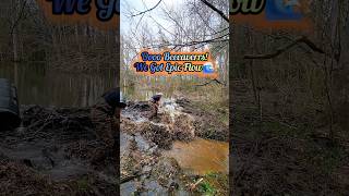 Extreme Beaver Dam Removal Has Epic Flow shorts [upl. by Priestley]