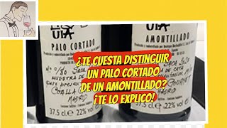 310 ¿COMO DISTINGUIR UN PALO CORTADO DE UN AMONTILLADO ¡TE LO EXPLICO [upl. by Ocsirf]