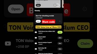 TON Voice Live w Blum CEO Blum code blumcode blum [upl. by Stinson612]