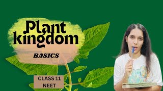 taxonomy  plant kingdom class 11 NEET [upl. by Annazor921]