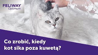 Co robić kiedy kot sika poza kuwetą  FELIWAY Optimum [upl. by Aioj]