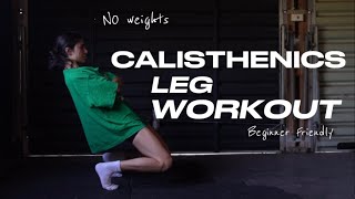 CALISTHENICS LEG WORKOUT  NO WEIGHTS beginner friendly [upl. by Ngo255]