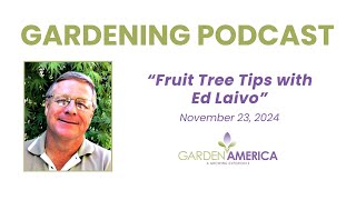 Gardening Podcast Fruit Tree Tips with Ed Laivo  Garden America Radio Show 112324 [upl. by Anileh616]