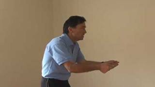 Danny Dreyer Video Blog on Posture [upl. by Nahamas]