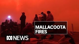 When will this nightmare end Inside Mallacootas bushfire apocalypse  ABC News [upl. by Brosy]