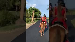 puertorico horsebackadventures ridinghorses [upl. by Drarej]