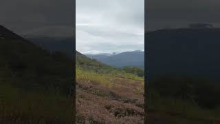 In the Majestic Cairngorm Mountains [upl. by Fenella]