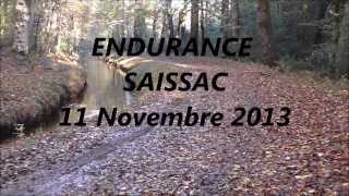 endurance SAISSAC 1111 2013 BERGERS ALLEMANDS [upl. by Karrie]