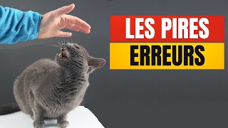 20 ERREURS fréquentes que font les Propriétaires de Chats  Incroyablement Top [upl. by Nilrem]