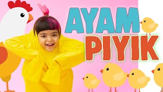 AYAM PIYIK  MAZAYA Official Music Video [upl. by Bellaude224]