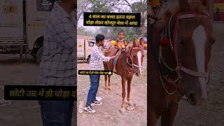 4 साल का बच्चा इतना कीमती घोड़ा को दौड़ा रहा 😱 सोनपुर मेला में ll horse horsemarket sonpurmela [upl. by Artema]