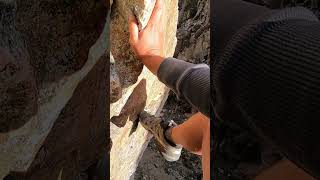 Middle Teton North Ridge Solo Ascent [upl. by Nima]