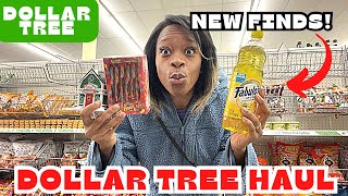 Dollar Tree Haul  New Finds at Dollar Tree [upl. by Eitra]