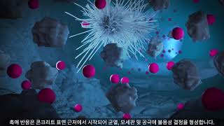 Xypex Technology  Korean Subtitles [upl. by Ydnarb]