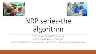 Neonatal resuscitation program NRP series The algorithm Dr Sridhar Kalyanasundaram [upl. by Grimbald]