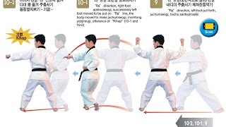 THE EXPLANATION OF OFFICIAL TAEKWONDO POOMSAE 2 sipjin 03 [upl. by Aihtak79]