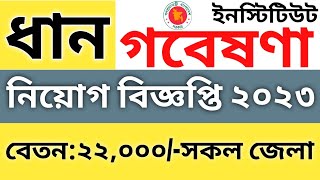 বাংলাদেশ ধান গবেষণা ইনস্টিটিউট নিয়োগ বিজ্ঞপ্তি ২০২৩  BRRI Job Circular 2023 Gazipur [upl. by Flossi702]