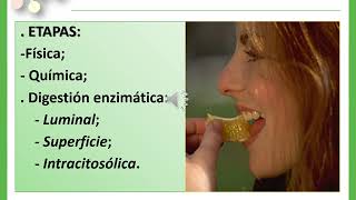 METABOLISMO DE PROTEINAS VIRTUAL [upl. by Dunn]