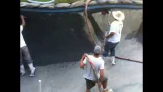 Black Diamond Brite Plaster on Gunite Pool by Affordable Pools [upl. by Addy]