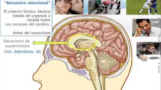 Inteligencia emocional video curso charla conferencia previo [upl. by Asenaj922]