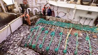 Life On Alaskas Largest Deepsea Trawling Vessel  Fish Factory On the High Seas [upl. by Aillimac]