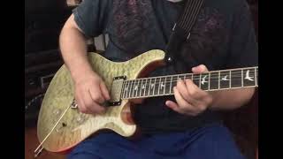 PRS SE Custom 24 with Bare Knuckle PickupsUnpotted Mules demo  guitar for sale [upl. by Notneb]