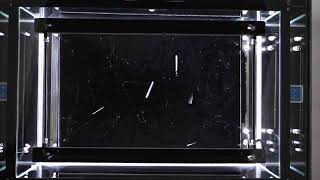 Cloud chamber Radioactive particles in slow motion [upl. by Aivila]