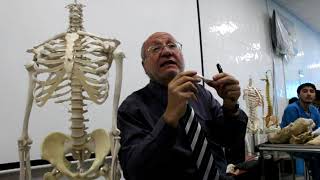 Practical osteology 2  clavicle  part 2  by Dr Wahdan [upl. by Ecilef]