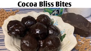 Irresistible Coconut Chocolate Balls Recipe [upl. by Melas]