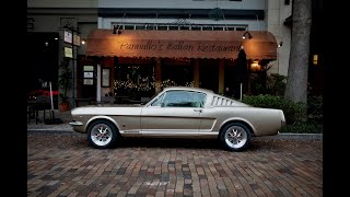 Revology Car Review  1965 Mustang GT 22 Fastback in Harvest Gold Metallic [upl. by Blakeley]