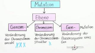 Mutation von Genen  Biologie  Genetik und Entwicklungsbiologie [upl. by Cynde]