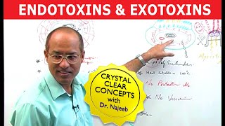 Endotoxins and Exotoxins [upl. by Phi]